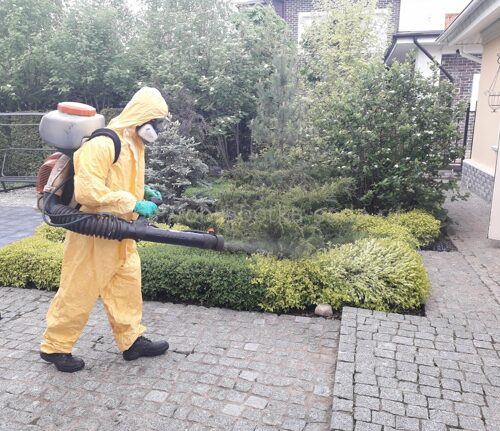 Защита растений