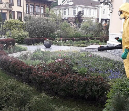 Защита растений