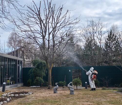 Защита растений