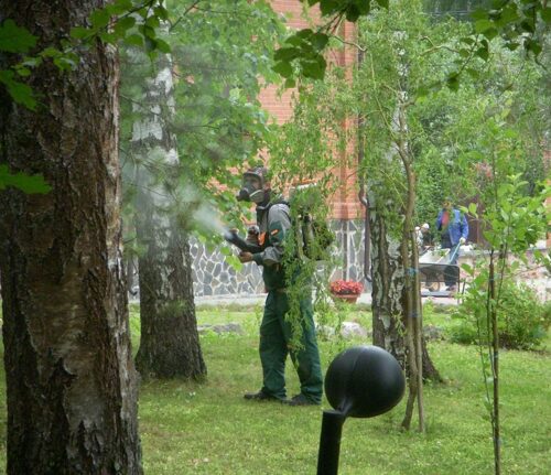 Защита растений