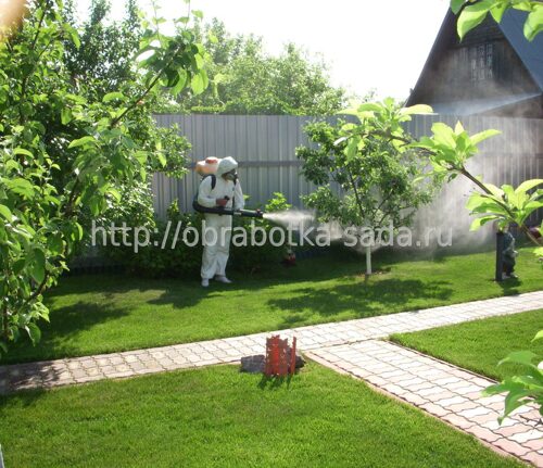 Защита растений