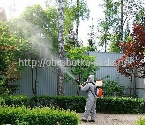 Защита растений