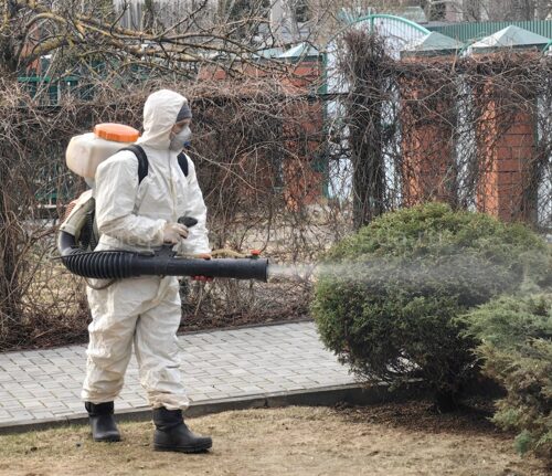 Защита растений