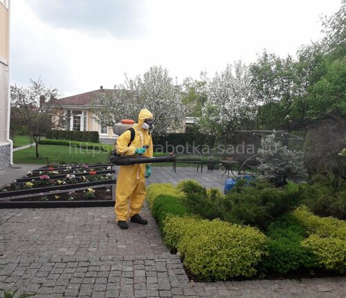 Защита растений