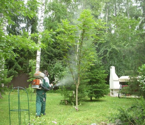 Защита растений