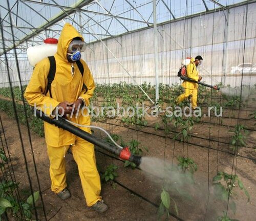 Защита растений