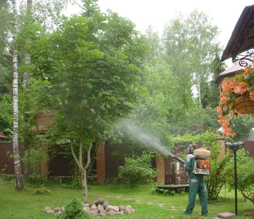 Защита растений