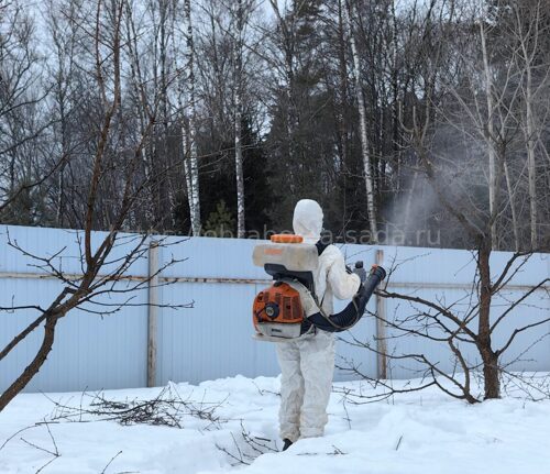 Защита растений