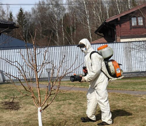 Защита растений